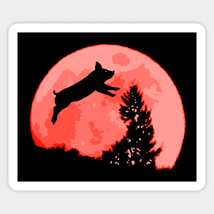 Pig in The Moon Sticker